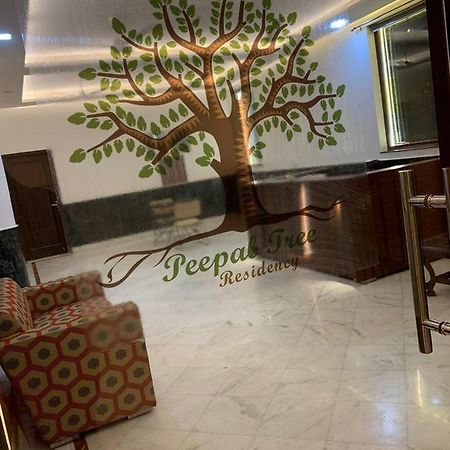 مبيت وإفطار نيودلهي Peepal Tree Residency المظهر الخارجي الصورة