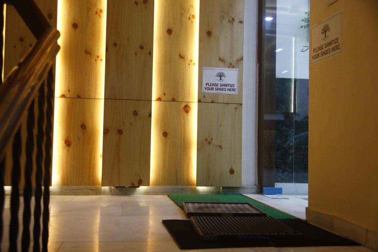 مبيت وإفطار نيودلهي Peepal Tree Residency المظهر الخارجي الصورة