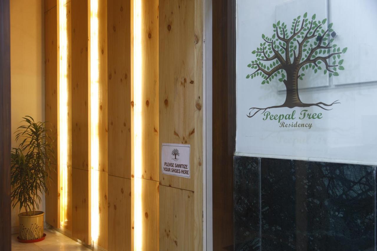 مبيت وإفطار نيودلهي Peepal Tree Residency المظهر الخارجي الصورة